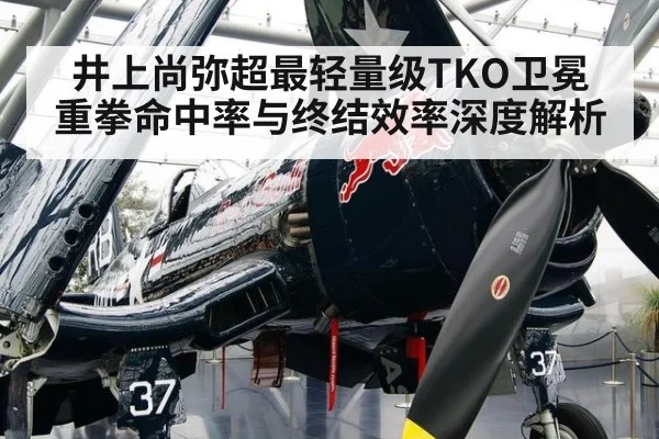 井上尚弥超最轻量级TKO卫冕 重拳命中率与终结效率深度解析